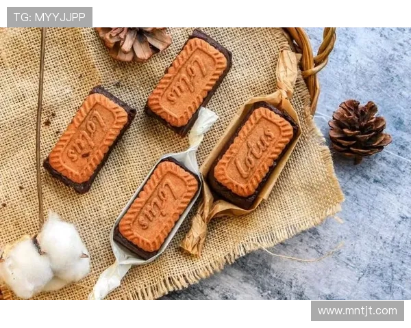 布朗尼4分钟情绪不佳雷迪克释因